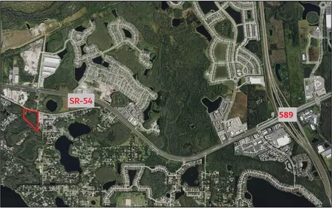 14356 Black Lake Rd, Odessa, FL 33556