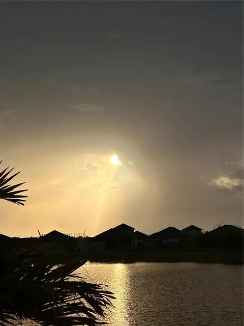 View/Area - 12211 Violet Jasper Dr, Parrish, FL 34219 photo 3 of 14