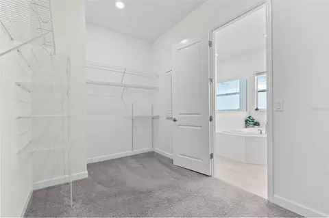 Other - 12211 Violet Jasper Dr, Parrish, FL 34219 photo 8 of 22