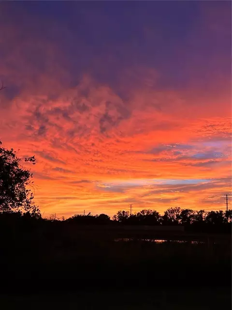 Other - 12211 Violet Jasper Dr, Parrish, FL 34219 photo 2 of 22