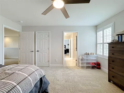 Other - 13150 Wellspring Dr, Lithia, FL 33547 photo 21 of 34