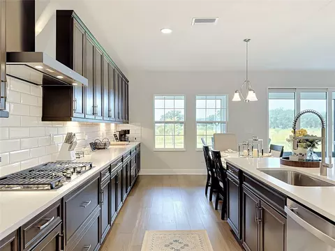 Other - 13150 Wellspring Dr, Lithia, FL 33547 photo 8 of 34
