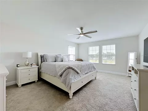 Other - 13150 Wellspring Dr, Lithia, FL 33547 photo 24 of 34