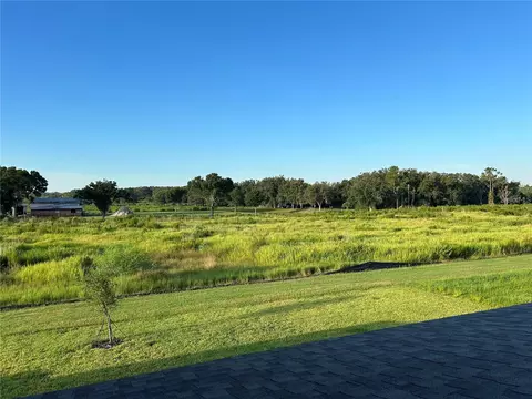 View/Area - 13150 Wellspring Dr, Lithia, FL 33547 photo 1 of 1