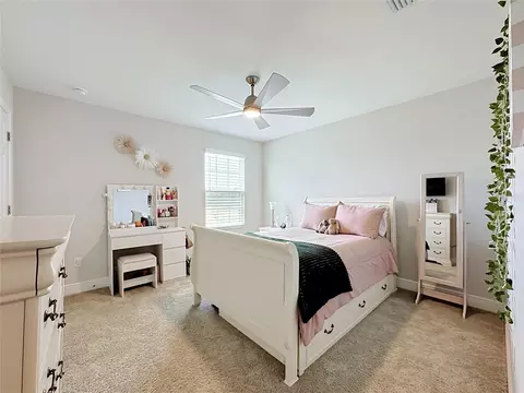 Other - 13150 Wellspring Dr, Lithia, FL 33547 photo 18 of 34