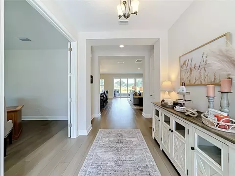 Other - 13150 Wellspring Dr, Lithia, FL 33547 photo 6 of 34