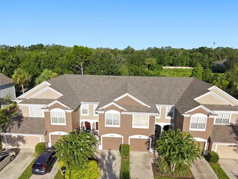 View/Area - 2109 Wild Grape Pl, Riverview, FL 33578 photo 2 of 8