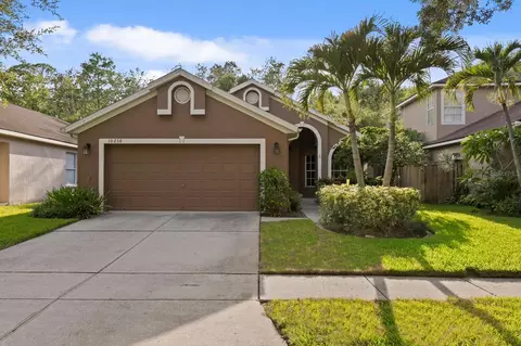 10238 Woodford Bridge St, Tampa, FL 33626
