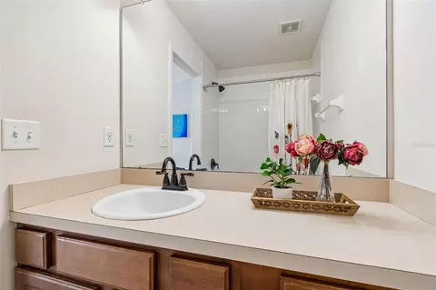 Bath - 4423 Barnstead Dr, Riverview, FL 33578 photo 4 of 5