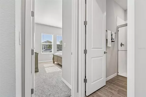 Entry Way - 10569 Tranquil Meadow Loop, Riverview, FL 33569 photo 6 of 7