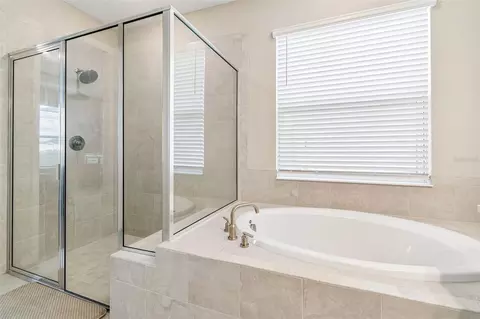 Bath - 10569 Tranquil Meadow Loop, Riverview, FL 33569 photo 4 of 10