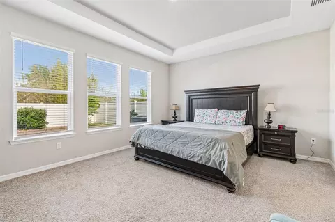 Bedroom - 10569 Tranquil Meadow Loop, Riverview, FL 33569 photo 1 of 10