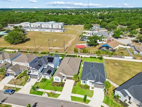View/Area - 10569 Tranquil Meadow Loop, Riverview, FL 33569 photo 12 of 16