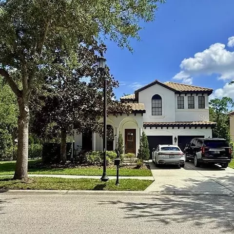 20302 Chestnut Grove Dr, Tampa, FL 33647