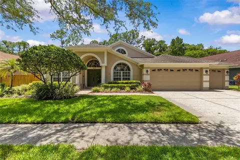 10522 Chambers Dr, Tampa, FL 33626