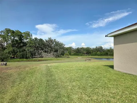6324 165th Dr E, Parrish, FL 34219 photo 35