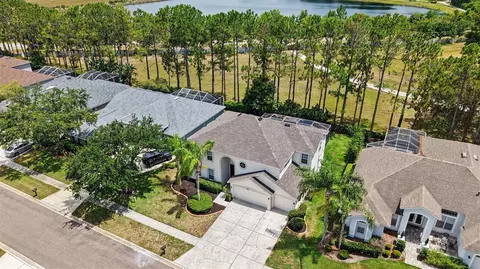 View/Area - 6112 Cezanne Ave, Lutz, FL 33558 photo 1 of 8