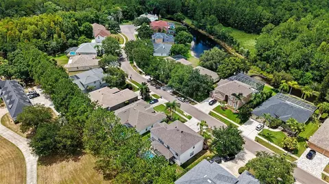 View/Area - 6112 Cezanne Ave, Lutz, FL 33558 photo 8 of 8