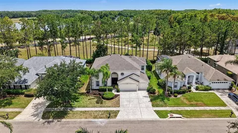 View/Area - 6112 Cezanne Ave, Lutz, FL 33558 photo 7 of 8