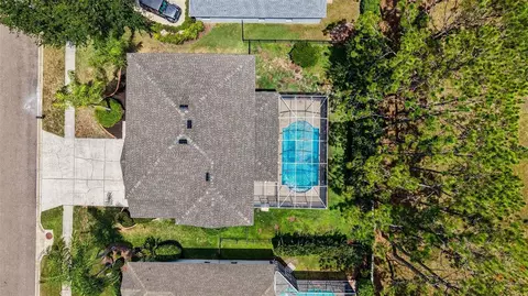 View/Area - 6112 Cezanne Ave, Lutz, FL 33558 photo 2 of 8