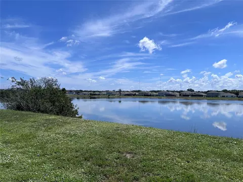 View/Area - 11669 Stone Pine St, Riverview, FL 33569 photo 5 of 25