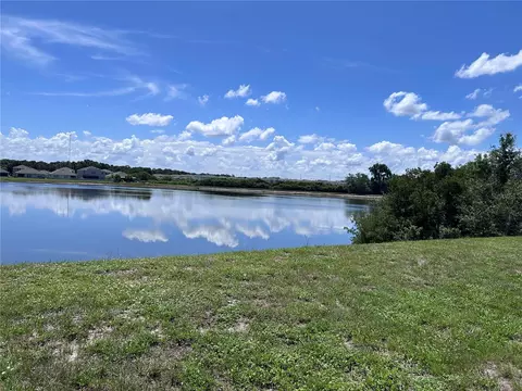 View/Area - 11669 Stone Pine St, Riverview, FL 33569 photo 7 of 25