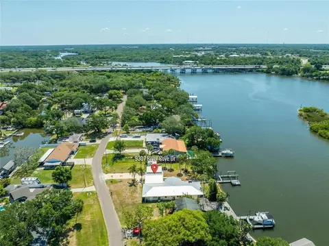 View/Area - 9307 River Cove Dr, Riverview, FL 33578 photo 8 of 13