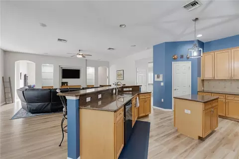 Kitchen - 11704 Newberry Grove Loop, Riverview, FL 33579 photo 6 of 9