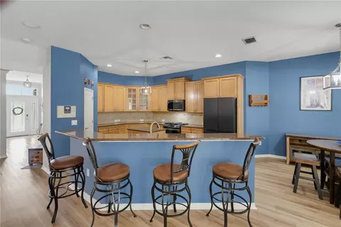 Kitchen - 11704 Newberry Grove Loop, Riverview, FL 33579 photo 1 of 9