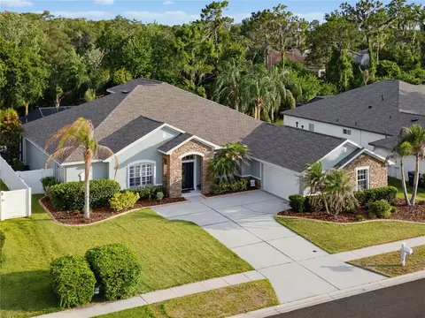 View/Area - 11704 Newberry Grove Loop, Riverview, FL 33579 photo 2 of 4