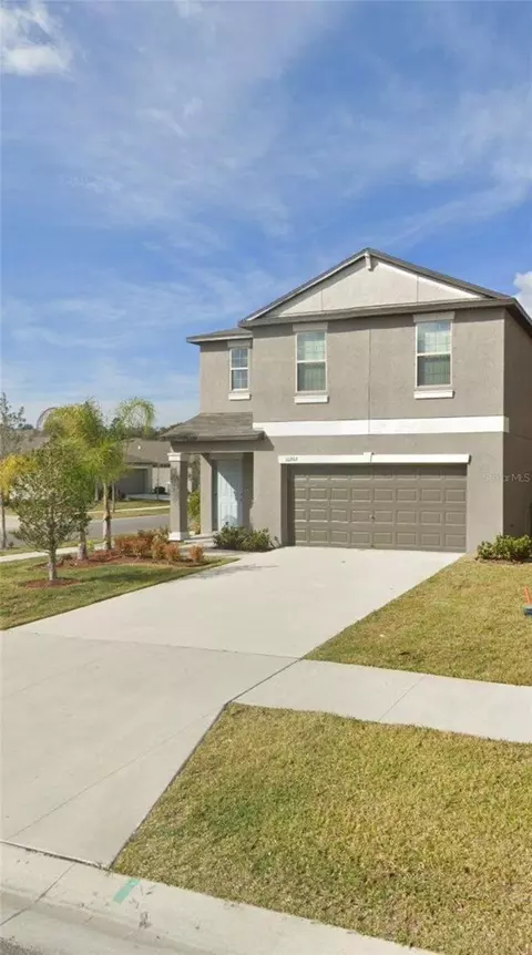 10202 Cool Waterlily Ave, Riverview, FL 33578
