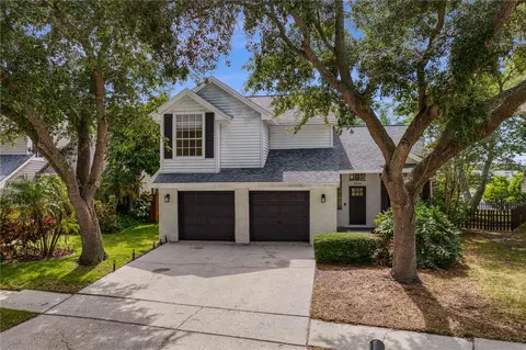 11844 Branch Mooring Dr, Tampa, FL 33635