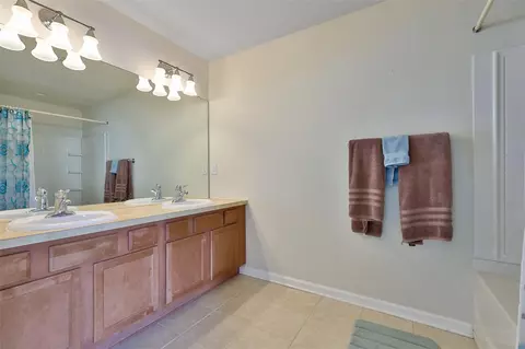 Bath - 10141 Post Harvest Dr, Riverview, FL 33578 photo 2 of 4