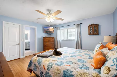 Bedroom - 1070 Mccarty St, Dunedin, FL 34698 photo 2 of 7