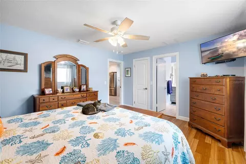 Bedroom - 1070 Mccarty St, Dunedin, FL 34698 photo 3 of 7