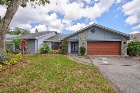 1111 Knollwood Dr, Safety Harbor, FL 34695