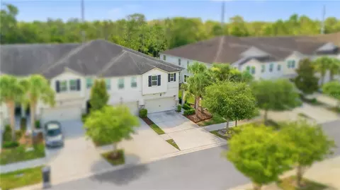 View/Area - 10316 Holstein Edge Pl, Riverview, FL 33569 photo 2 of 11
