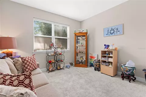 Other - 10316 Holstein Edge Pl, Riverview, FL 33569 photo 4 of 11