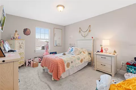 Bedroom - 10316 Holstein Edge Pl, Riverview, FL 33569 photo 6 of 6