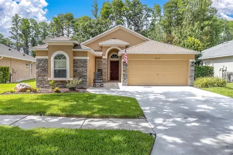 7832 Blue Spring Dr, Land O Lakes, FL 34637