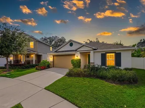 10539 Laguna Plains Dr, Riverview, FL 33578