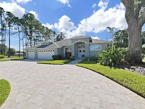 17110 Downs Dr, Odessa, FL 33556