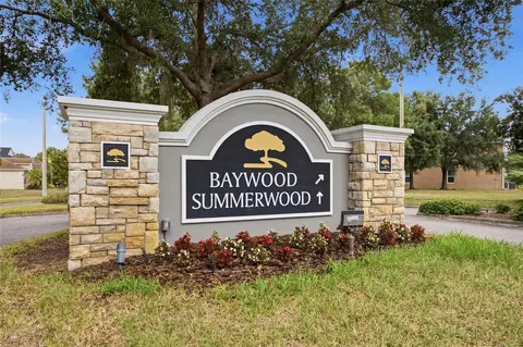 View/Area - 6924 Towering Spruce Dr, Riverview, FL 33578 photo 1 of 11