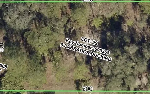 Labrador Duck Rd, Weeki Wachee, FL 34614