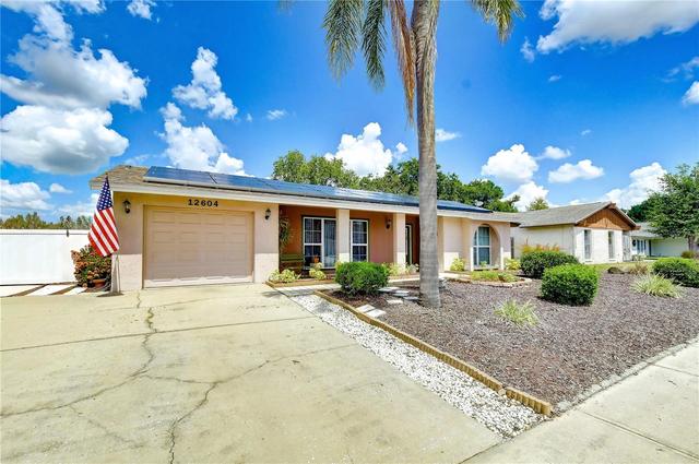 12604 Trucious Pl, Tampa, FL 33625