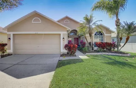3137 Castle Rock Cir, Land O Lakes, FL 34639