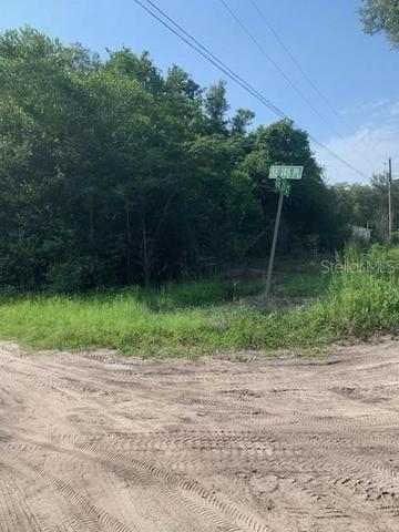 Tba SE 145th Place, Summerfield, FL 34491