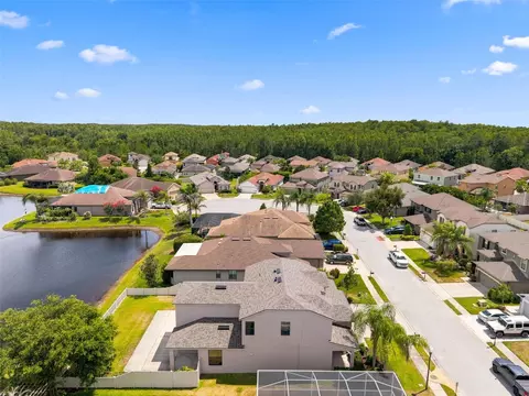 View/Area - 1120 Maza Pl, Trinity, FL 34655 photo 4 of 8
