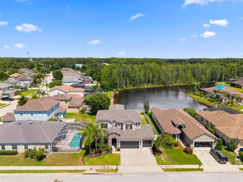 View/Area - 1120 Maza Pl, Trinity, FL 34655 photo 3 of 8