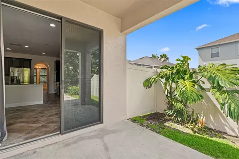 Exterior - 1120 Maza Pl, Trinity, FL 34655 photo 5 of 12